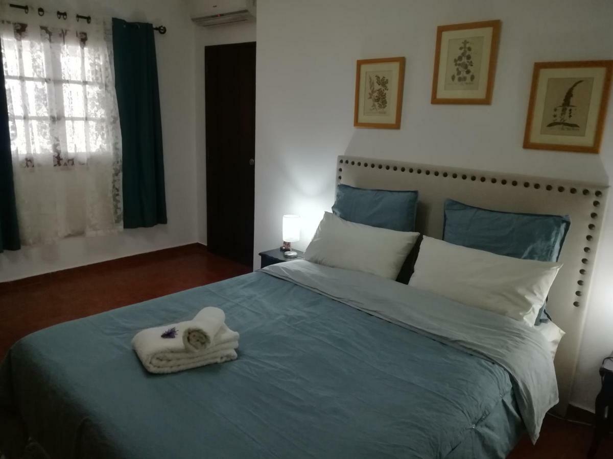 A Casa Da Avo Custodinha Villa Bias do Norte Ngoại thất bức ảnh